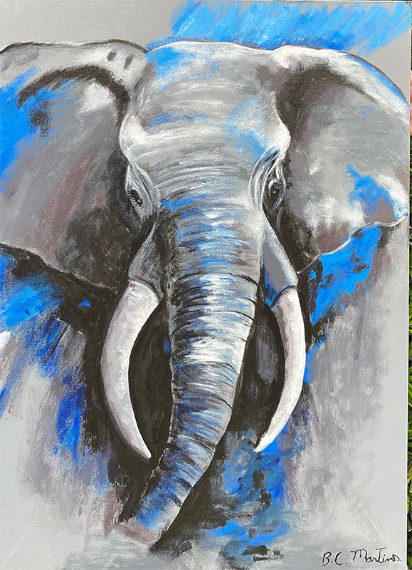 Elefante - 40 x 60 - AST - 2021